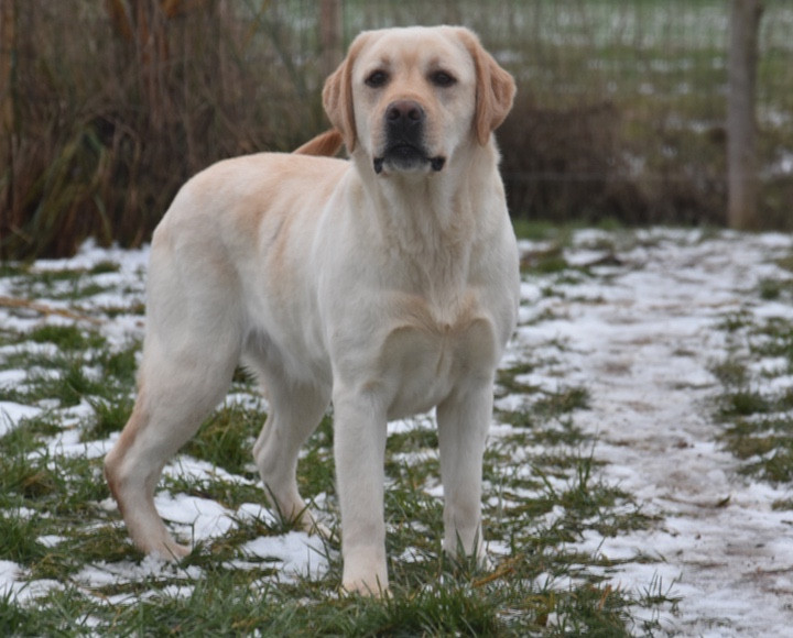 Tequitoi Du Grand Etricher