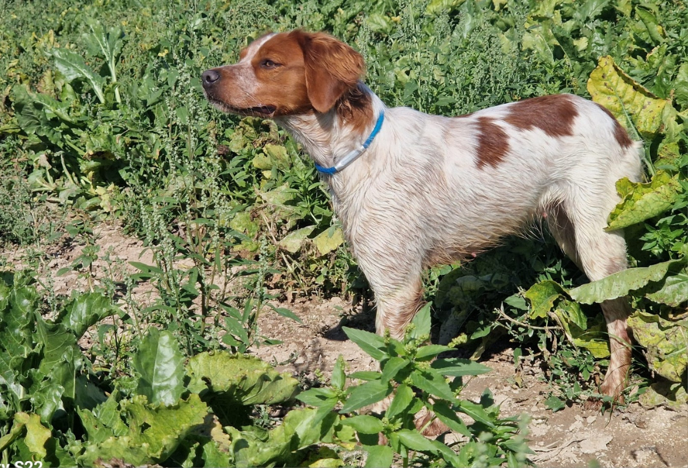 Utesse Des fossés de Javersy